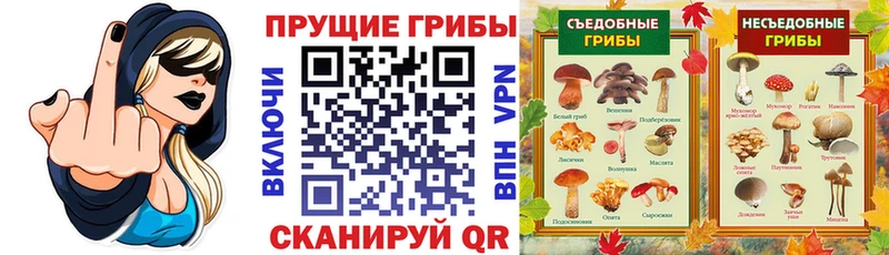 Галлюциногенные грибы MAGIC MUSHROOMS  где можно купить наркотик  Североморск 
